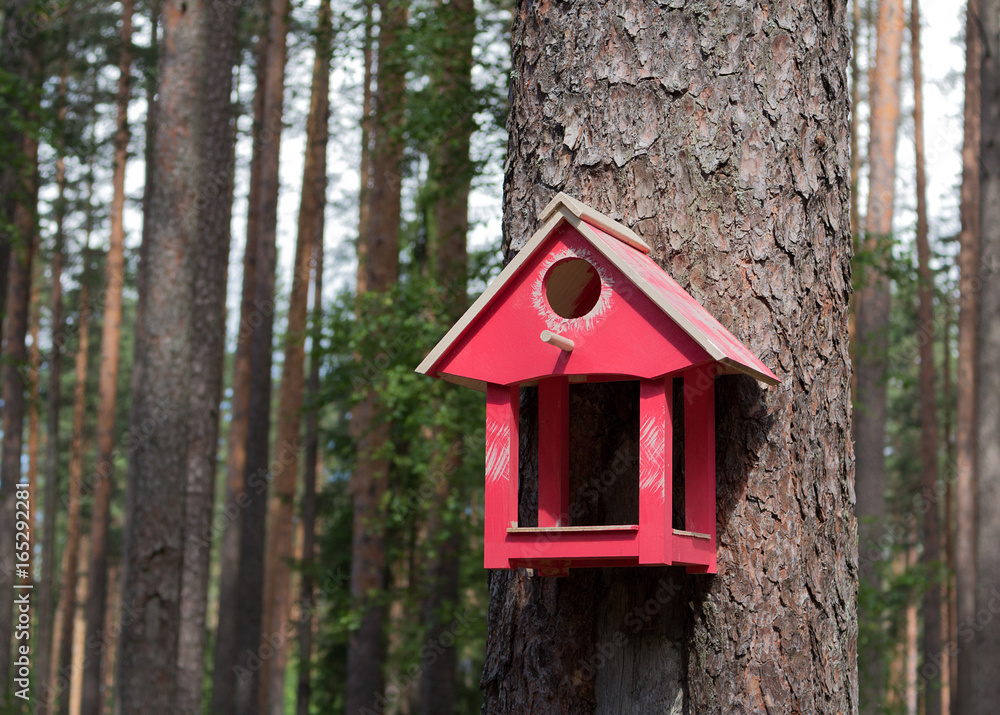 Birdhouse in the forest Birdhouse in the forest