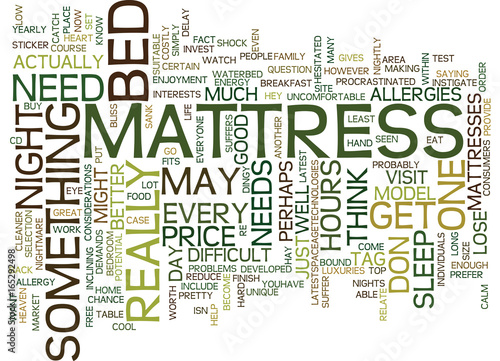 MATTRESS BLISS OR MATTRESS NIGHTMARE Text Background Word Cloud Concept