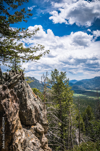 Coniferous high-mountain forests and cliffs of the Rocky Mountains. Cloudy Colorado