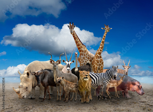 group of africa animals © anankkml