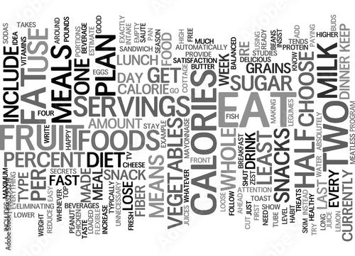 LOOSE WEIGHT FAST DIET PLAN Text Background Word Cloud Concept