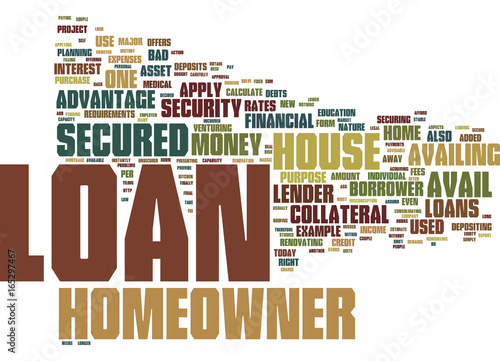 LOANS FOR HOMEOWNER Text Background Word Cloud Concept