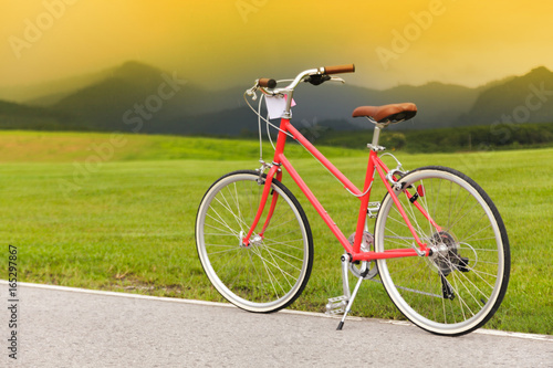 Red bicycle in the garden