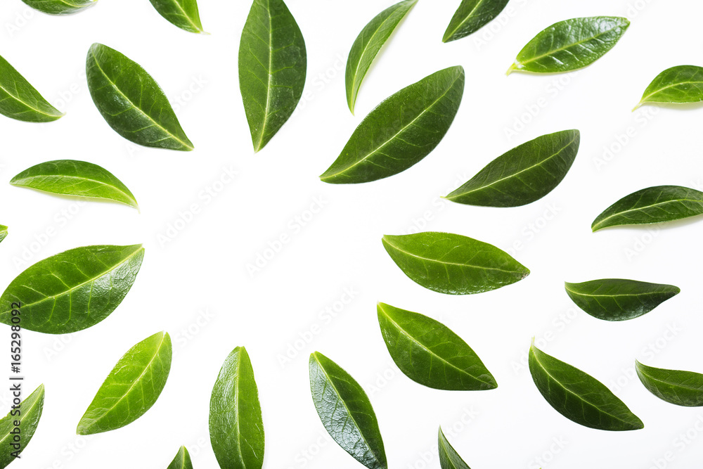 Naklejka premium Beautiful green leaves composition, fresh greenery design, copy space