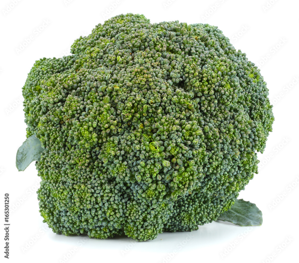 broccoli isolated on white background broccoli isolated on white background
