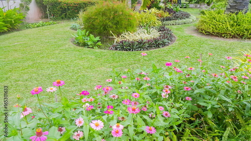 Beautiful garden in the morning time