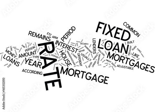 LENDERS AND MOST COMMON TYPE OF LOANS Text Background Word Cloud Concept