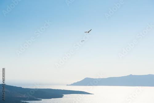 Seagulls in the sky over the sea. Santorini island, Greece