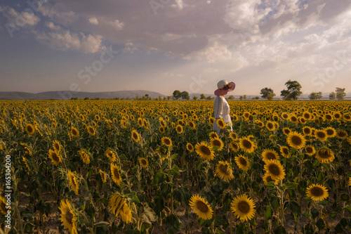 Wallpaper Mural AYÇİÇEK TARLASI Torontodigital.ca