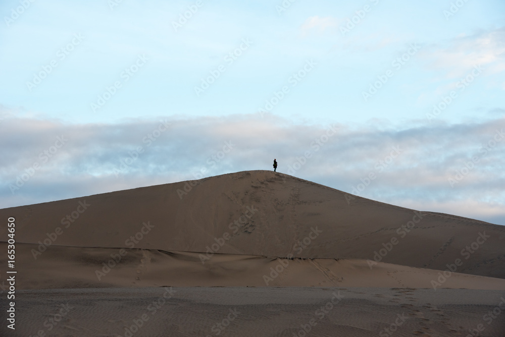 Man and Dune