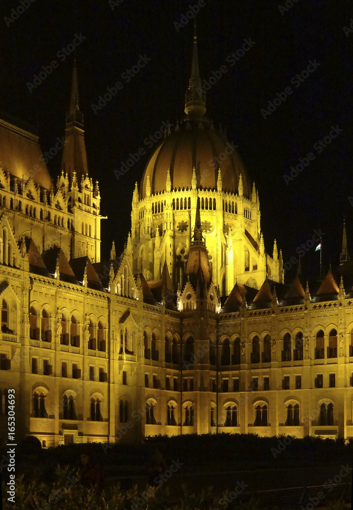 Obraz premium night scenery in Budapest