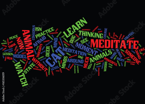LEARN HOW TO MEDITATE FROM ANIMALS Text Background Word Cloud Concept