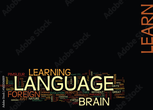 LEARN ANY LANGUAGE IN DAYS WAYS TO QUICKLY MASTER A FOREIGN LANGUAGE Text Background Word Cloud Concept