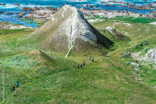 Kaikoura photo