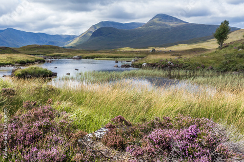 Canvas-taulu Lochan na h-Achlaise, Road near the lake near Glen Coe. Scotland