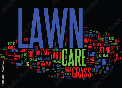LAWN CARE FAQ Text Background Word Cloud Concept