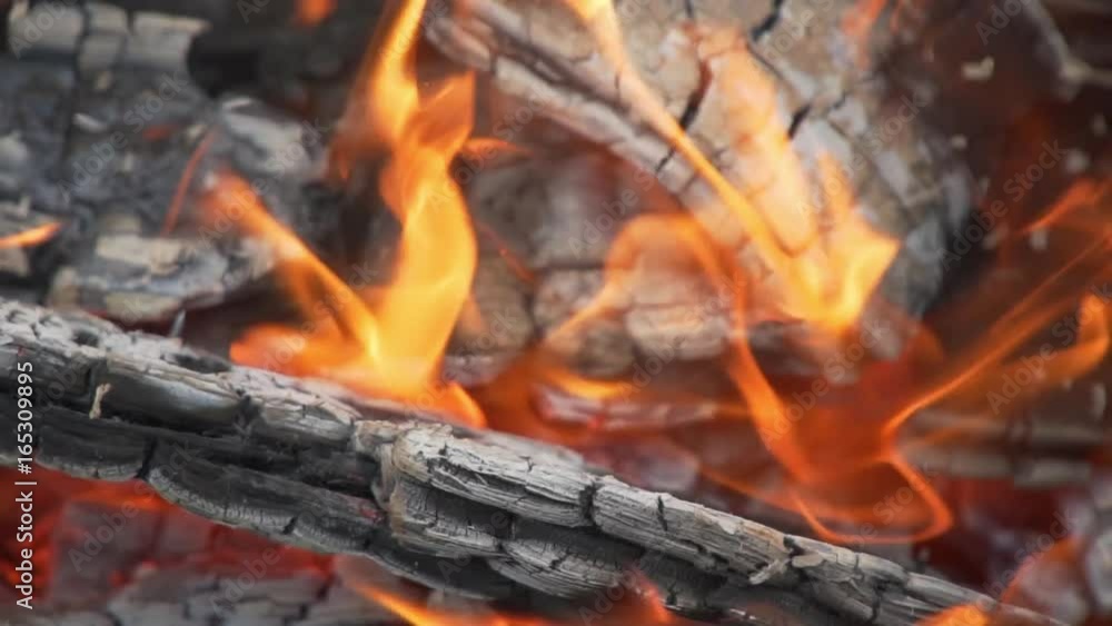 fire: burning wood and smoldering embers. fire: burning wood and smoldering embers.