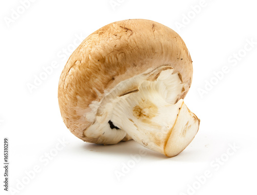 fresh champignons brown version isolated