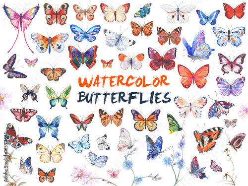 Watercolor butterflies illustration © vasabii
