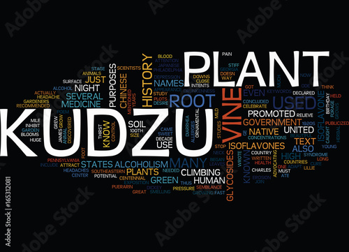 KUDZU Text Background Word Cloud Concept