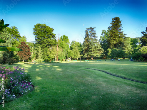 Massey Park Trees in Tarbes France