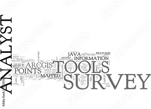 JAVA SURVEY ANALYST TOOLS Text Background Word Cloud Concept photo