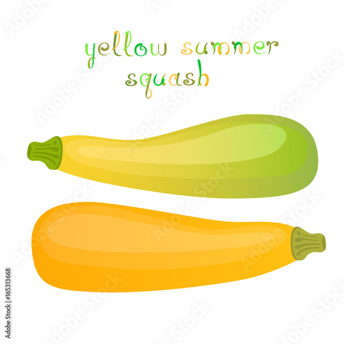 Yellow summer squash.