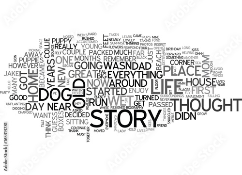 JAKE S OWN STORY Text Background Word Cloud Concept