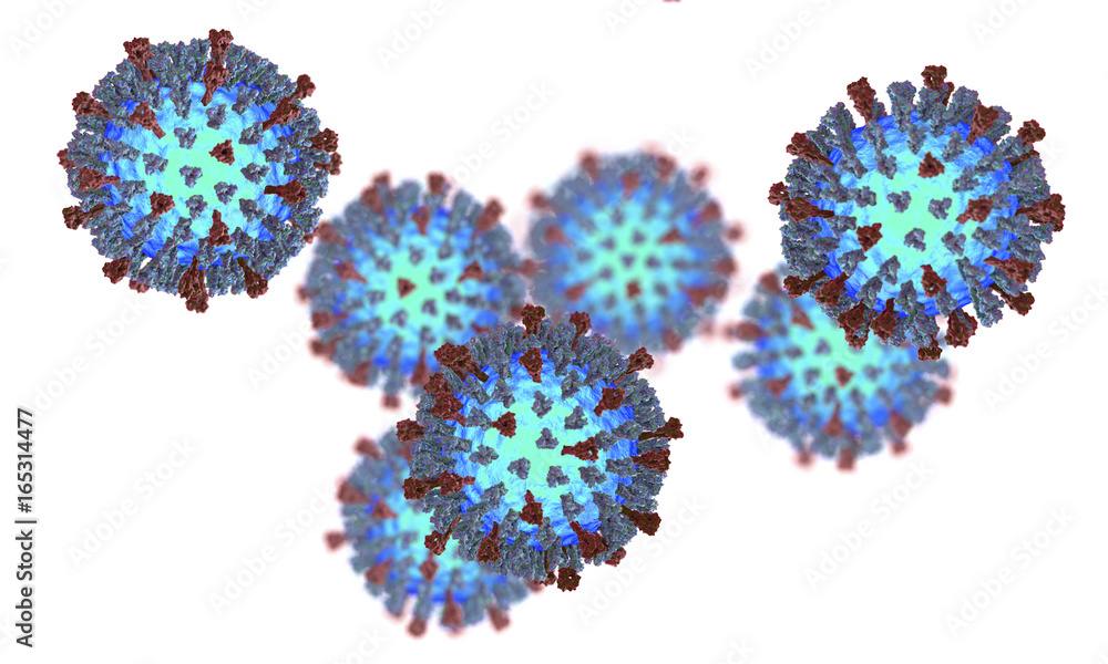 Measles viruses isolated on white background. 3D illustration showing structure of measles virus with surface glycoprotein spikes heamagglutinin-neuraminidase and fusion protein