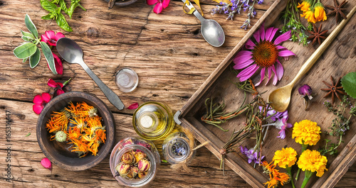 Obraz na plátně long poster with healthy herbs