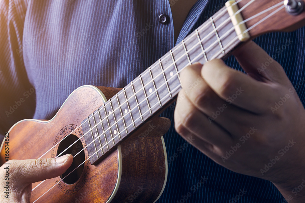 Fototapeta premium Man is playing the ukulele. 