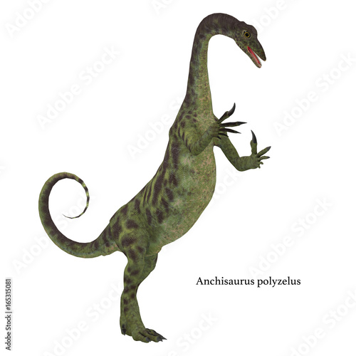 Anchisaurus Jurassic Dinosaur with Font - Anchisaurus was a omnivorous prosauropod dinosaur that lived in the Jurassic Periods of North America  Europe and Africa.