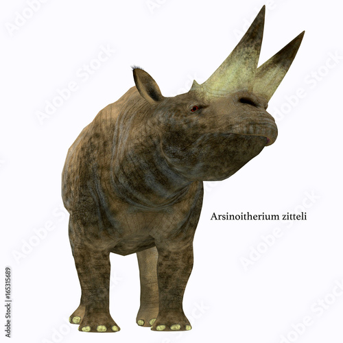 Arsinoitherium Mammal on White with Font - Arsinoitherium was a herbivorous rhinoceros-like mammal that lived in Africa in the Early Oligocene Period. photo