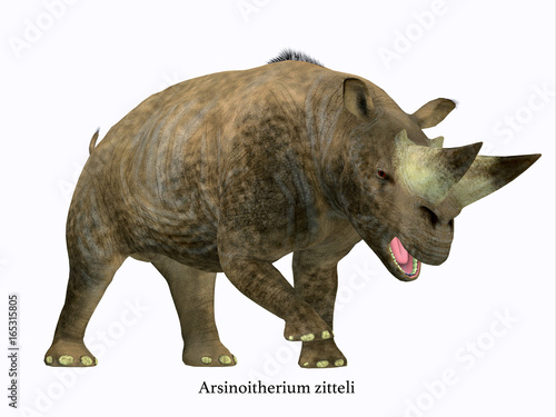 Arsinoitherium Mammal Side Profile with Font -  Arsinoitherium was a herbivorous rhinoceros-like mammal that lived in Africa in the Early Oligocene Period.