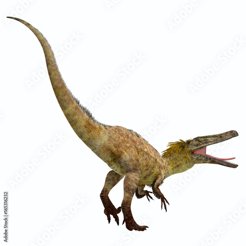 Austroraptor Dinosaur Tail - Austroraptor was a carnivorous theropod dinosaur that lived in Argentina in the Cretaceous Period.