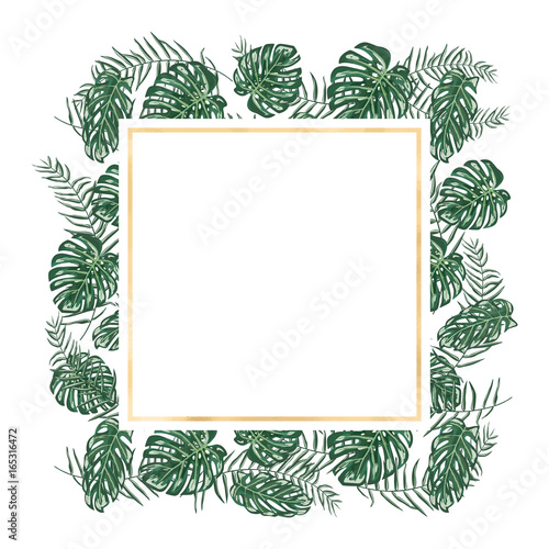 Tropical vector frame with monstera and palm leafs
