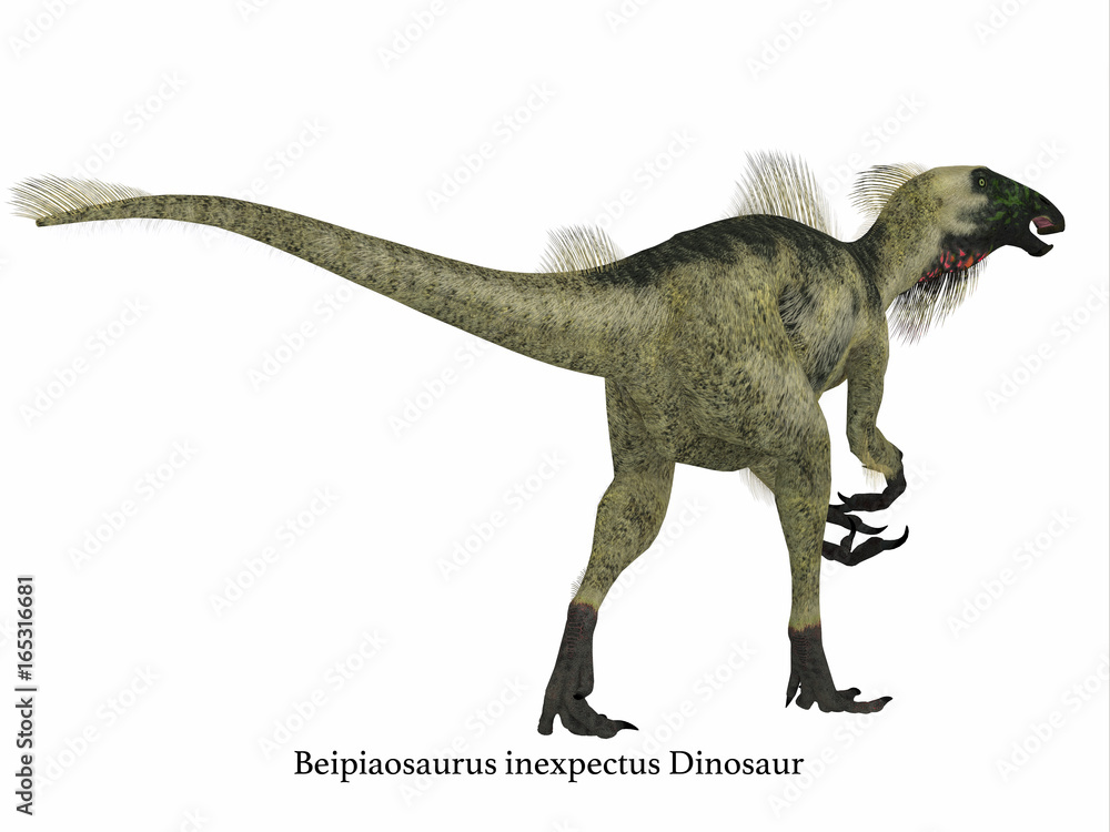 Beipiaosaurus Dinosaur Tail with Font Beipiaosaurus was a herbivorous