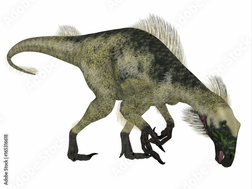 Beipiaosaurus Dinosaur Side Profile - Beipiaosaurus was a herbivorous theropod dinosaur that lived in China in the Cretaceous Period.