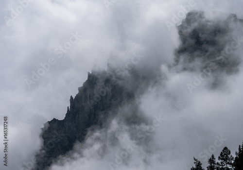 jagged mountain ridge peeking through the fog and mist with tree tops in the foreground