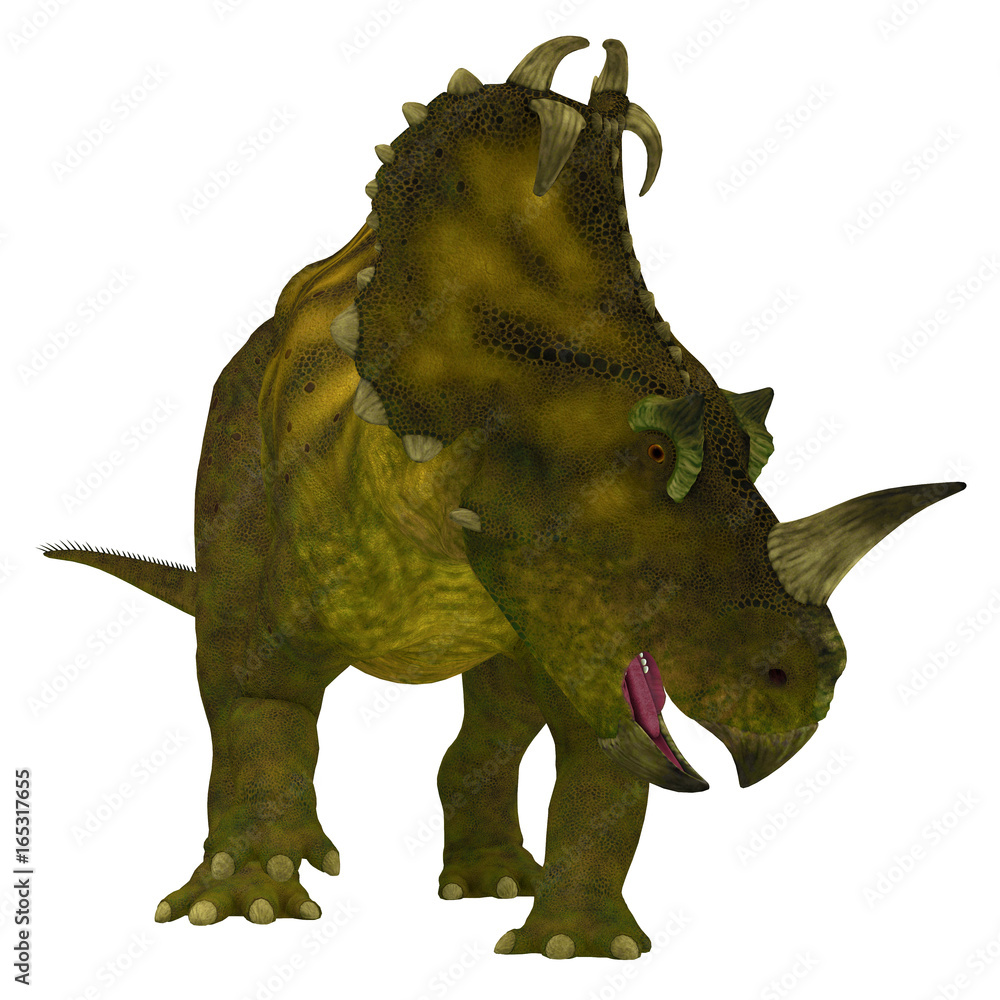 Naklejka premium Centrosaurus Dinosaur Neck Frills - Centrosaurus is a herbivorous Ceratopsian dinosaur that lived in Canada in the Cretaceous Period.