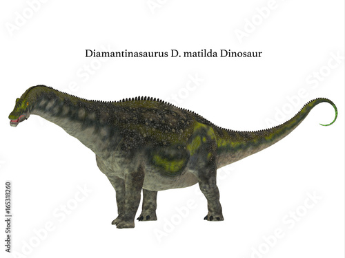 Diamantinasaurus Dinosaur Side Profile with Font - Diamantinasaurus was a herbivorous sauropod dinosaur that lived in Australia during the Cretaceous Period.