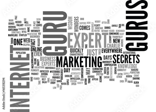 IS THERE A GURU IN THE HOUSE Text Background Word Cloud Concept