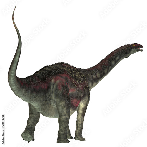 Fototapeta Naklejka Na Ścianę i Meble -  Diamantinasaurus Dinosaur Tail - Diamantinasaurus was a herbivorous sauropod dinosaur that lived in Australia during the Cretaceous Period.