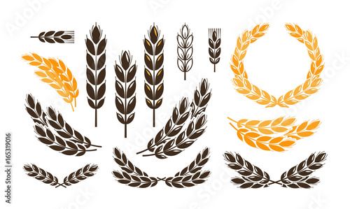 Ear wheat, bread logo or label. Harvest, bakery, bakehouse set icons. Vector illustration