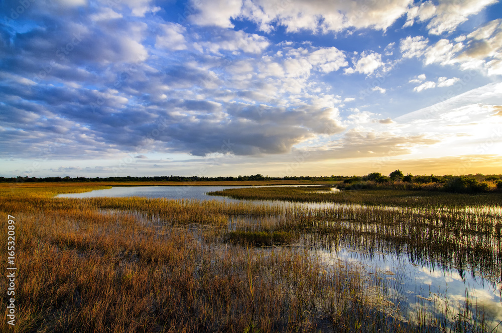 Everglades Sunset