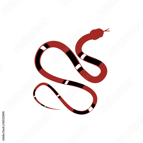 Reptile snake vector