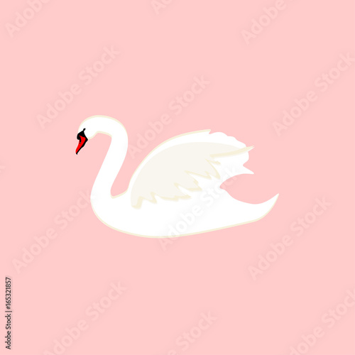 Fototapeta Naklejka Na Ścianę i Meble -  White swan vector