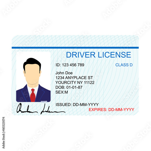 Driver license vector