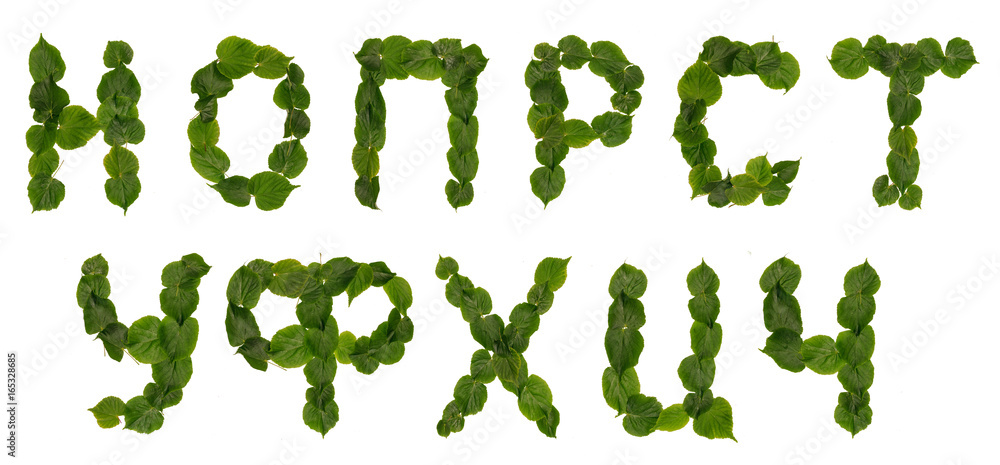 Cyrillic Letters from leaves lime Cyrillic Letters from leaves lime