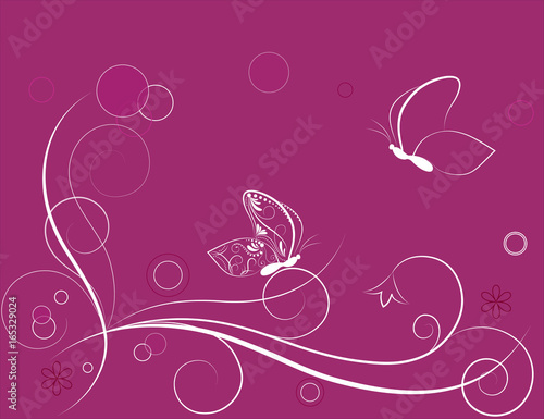 Butterfly. Vector